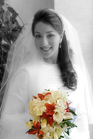 DSCF3263BWCFX