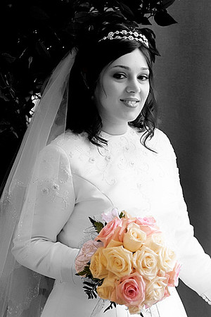 DSCF2601FX copy